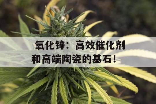  氧化锌：高效催化剂和高端陶瓷的基石！