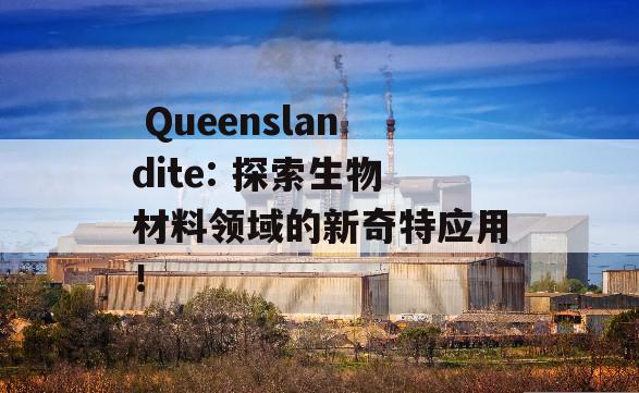  Queenslandite: 探索生物材料领域的新奇特应用！