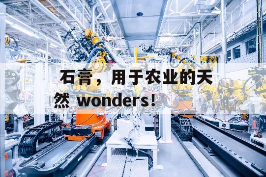  石膏，用于农业的天然 wonders！