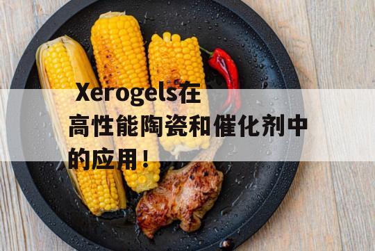  Xerogels在高性能陶瓷和催化剂中的应用！