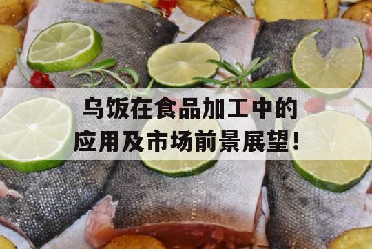  乌饭在食品加工中的应用及市场前景展望！