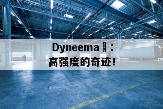  Dyneema®：高强度的奇迹！