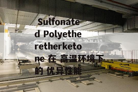  Sulfonated Polyetheretherketone 在 高温环境下的 优异性能