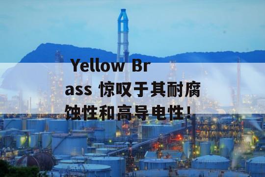  Yellow Brass 惊叹于其耐腐蚀性和高导电性！