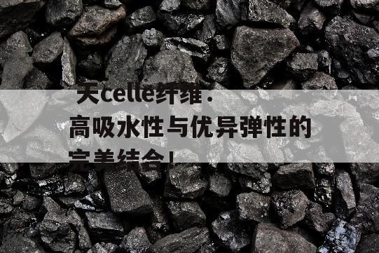  天celle纤维：高吸水性与优异弹性的完美结合！