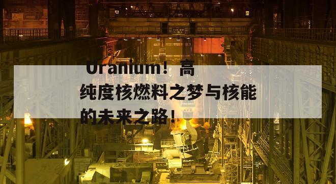  Uranium！高纯度核燃料之梦与核能的未来之路！