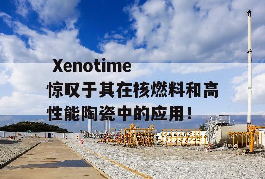  Xenotime 惊叹于其在核燃料和高性能陶瓷中的应用！