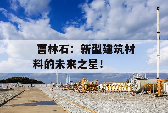  曹林石：新型建筑材料的未来之星！