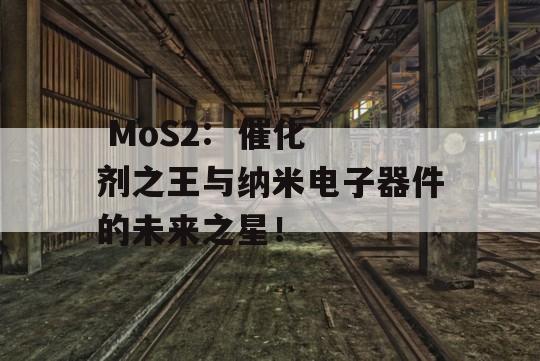  MoS2:  催化剂之王与纳米电子器件的未来之星！