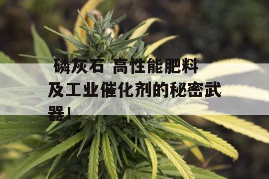  磷灰石 高性能肥料及工业催化剂的秘密武器！