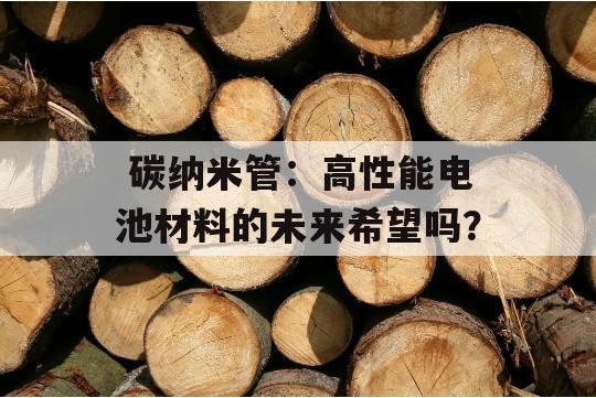  碳纳米管：高性能电池材料的未来希望吗？