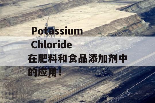  Potassium Chloride 在肥料和食品添加剂中的应用！