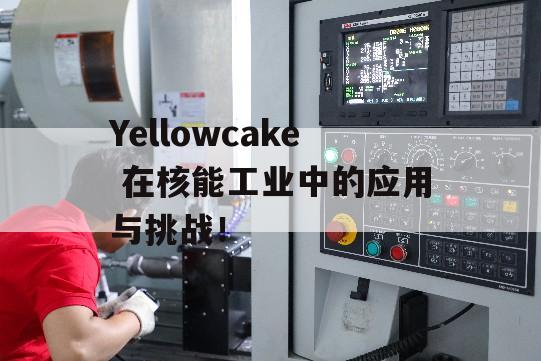 Yellowcake 在核能工业中的应用与挑战！