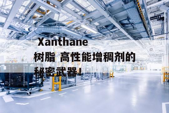  Xanthane 树脂 高性能增稠剂的秘密武器！