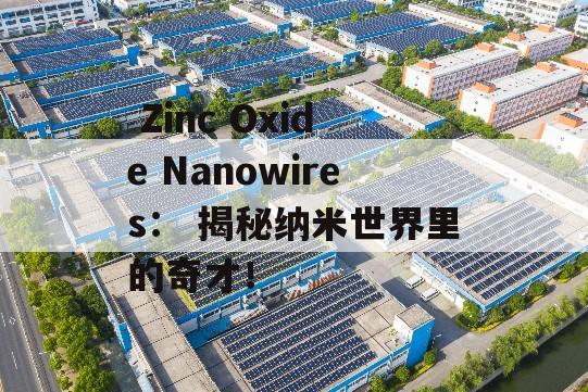  Zinc Oxide Nanowires： 揭秘纳米世界里的奇才！