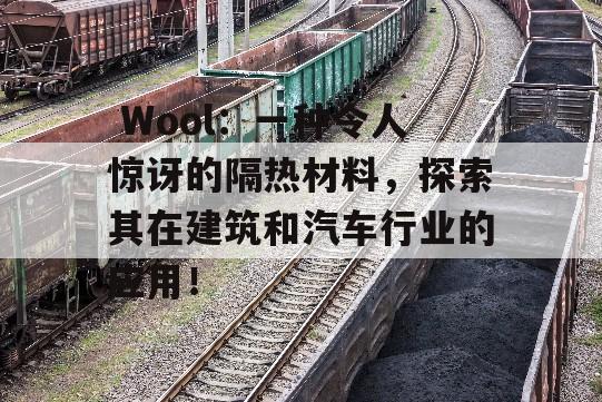  Wool：一种令人惊讶的隔热材料，探索其在建筑和汽车行业的应用！