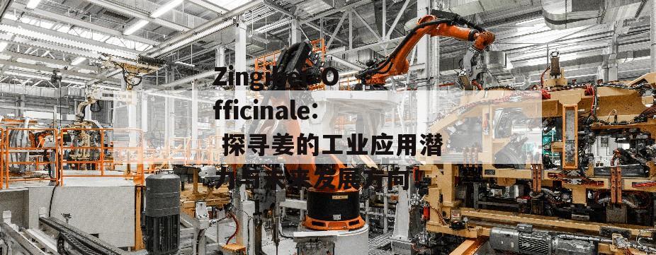 Zingiber Officinale: 探寻姜的工业应用潜力与未来发展方向！