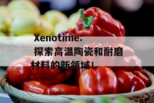  Xenotime: 探索高温陶瓷和耐磨材料的新领域！