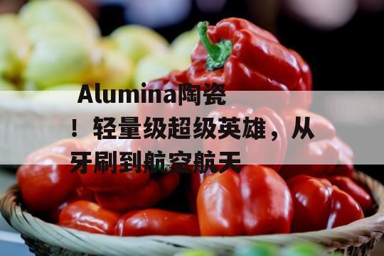  Alumina陶瓷！轻量级超级英雄，从牙刷到航空航天