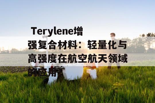  Terylene增强复合材料：轻量化与高强度在航空航天领域的应用！