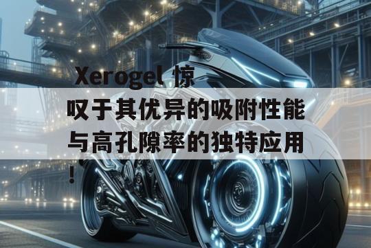  Xerogel 惊叹于其优异的吸附性能与高孔隙率的独特应用！