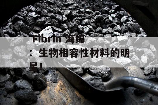  Fibrin 海绵：生物相容性材料的明星！