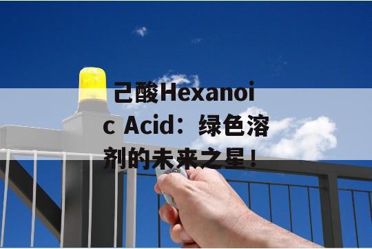  己酸Hexanoic Acid：绿色溶剂的未来之星！