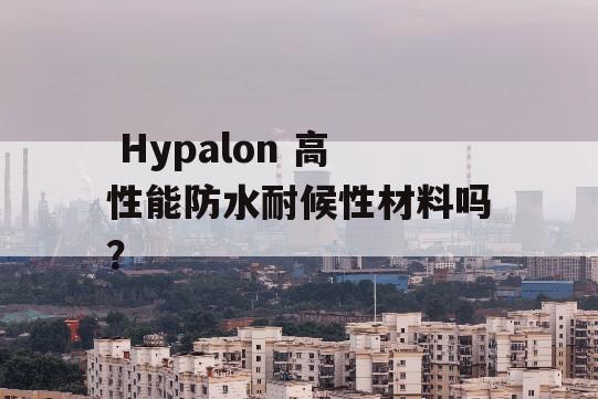  Hypalon 高性能防水耐候性材料吗？