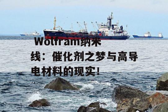  Wolfram纳米线：催化剂之梦与高导电材料的现实！