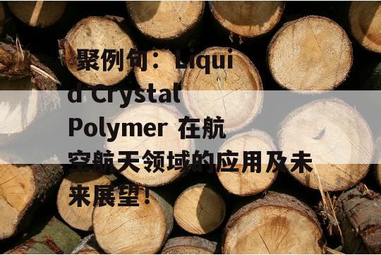  聚例句：Liquid Crystal Polymer 在航空航天领域的应用及未来展望！