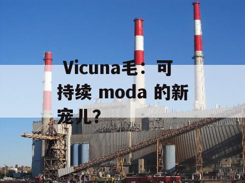  Vicuna毛：可持续 moda 的新宠儿？