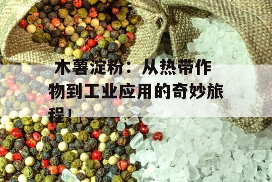  木薯淀粉：从热带作物到工业应用的奇妙旅程！